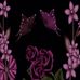 Pam Ness - Facebook