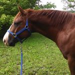 Pam Ness - @pam.ness.7 - Instagram