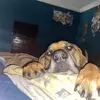 pamnessadog - @pamnessadog - TikTok