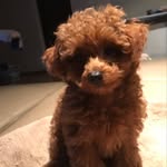 Pam Nettleton - @pjnetts - Instagram