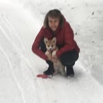 Pam Newman - @pnewman10 - Instagram