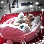 Pam Newman - @pam.newman.50951 - Instagram