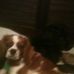 Pam Nickerson - Facebook
