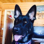 Pam Nickerson - @nysreapp - Instagram