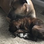 Pam Nickerson - @pnickerson1 - Instagram