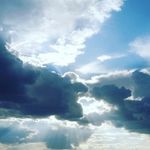 Pam Nielsen - @nielsen.vpr - Instagram
