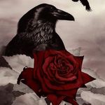 pam north - @pnorth180 - Instagram