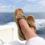 Pam Scott ~ Up North - @pamscottupnorth - Instagram