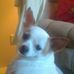Pam Nowak - Facebook