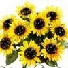 Pamela Nowak501 - @pamelanowak501 - TikTok