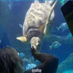 Pam Null - @pnull - Instagram