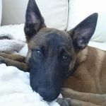 Pam Oates - @oatespam - Instagram