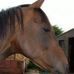 Pam Oates - Facebook