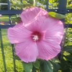 Pam Arnett O'Dell - @pam.arnett.98 - Instagram