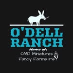 Pam Spillman O'Dell - @odellranch - Instagram