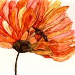 Pamela Olcott - Facebook