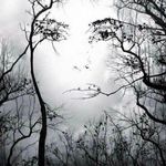 Pam Painter - @ppainter.pp - Instagram