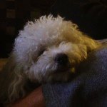 Pam Palmer Fleming - @pam_palmer_fleming - Instagram