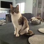 Pam J Parkes - @pamjayneparkes - Instagram