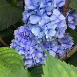Pam Parkes - @parkes.pam - Instagram