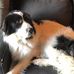 Pam Parks - Facebook