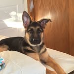 Pam Parks - @little_bit68534 - Instagram