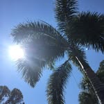 Pam Parks Ozaluk - @parksozaluk - Instagram