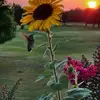 pamparksjames4 - @pamparksjames4 - TikTok