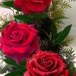 Pam Pate - @pam.pate.79 - Instagram