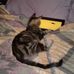 Pamela Pepper - Facebook