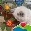 Pam Perry - @pam.perry4 - TikTok