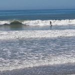 Pam Phelps - @pamphelps5204 - Instagram