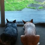 Pam Pickett - @pam.pickett - Instagram