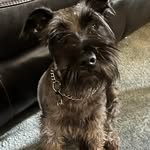 Pam Pickett - @pampicketttrip10boy - Instagram