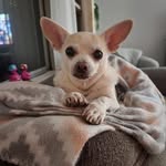 Pam Pickett Mooney - @pammooney - Instagram