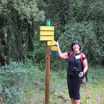 Pam Pierce - @pambo77 - Instagram