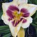 Pam Pierce - Facebook