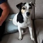 Pam Pierce - @pampierce56 - Instagram