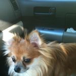 Pam Pierce - @pamtaco2010 - Instagram