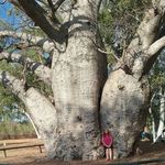 Pam Pitman - @pitman1862 - Instagram