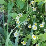 Pam Pitman Campbell - @pam4798 - Instagram