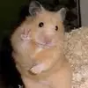 Mrbeats - @pampoee - TikTok