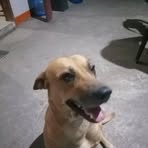 Pam Poe - Facebook