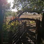 Pampoenkraal Venue - @pampoenkraal.venue - Instagram
