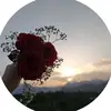 PamPollardsYpkr - @pampollardsypkr - TikTok
