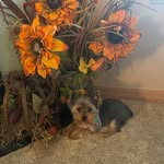 Pam Pollock Gilbert - @pampollockgilbert - Instagram