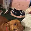 Pamela Pollock - @pamelapollock - TikTok