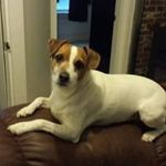 Pam Pound - @pampound - Instagram