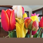 Pam Preston - @pamelabpreston - Instagram