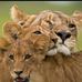 Pamela Pryor - Facebook